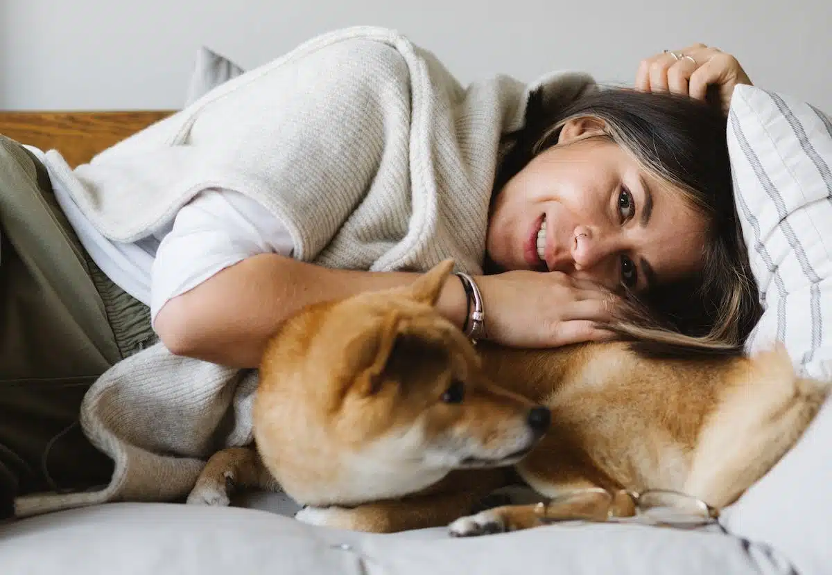 chien  réconfort
