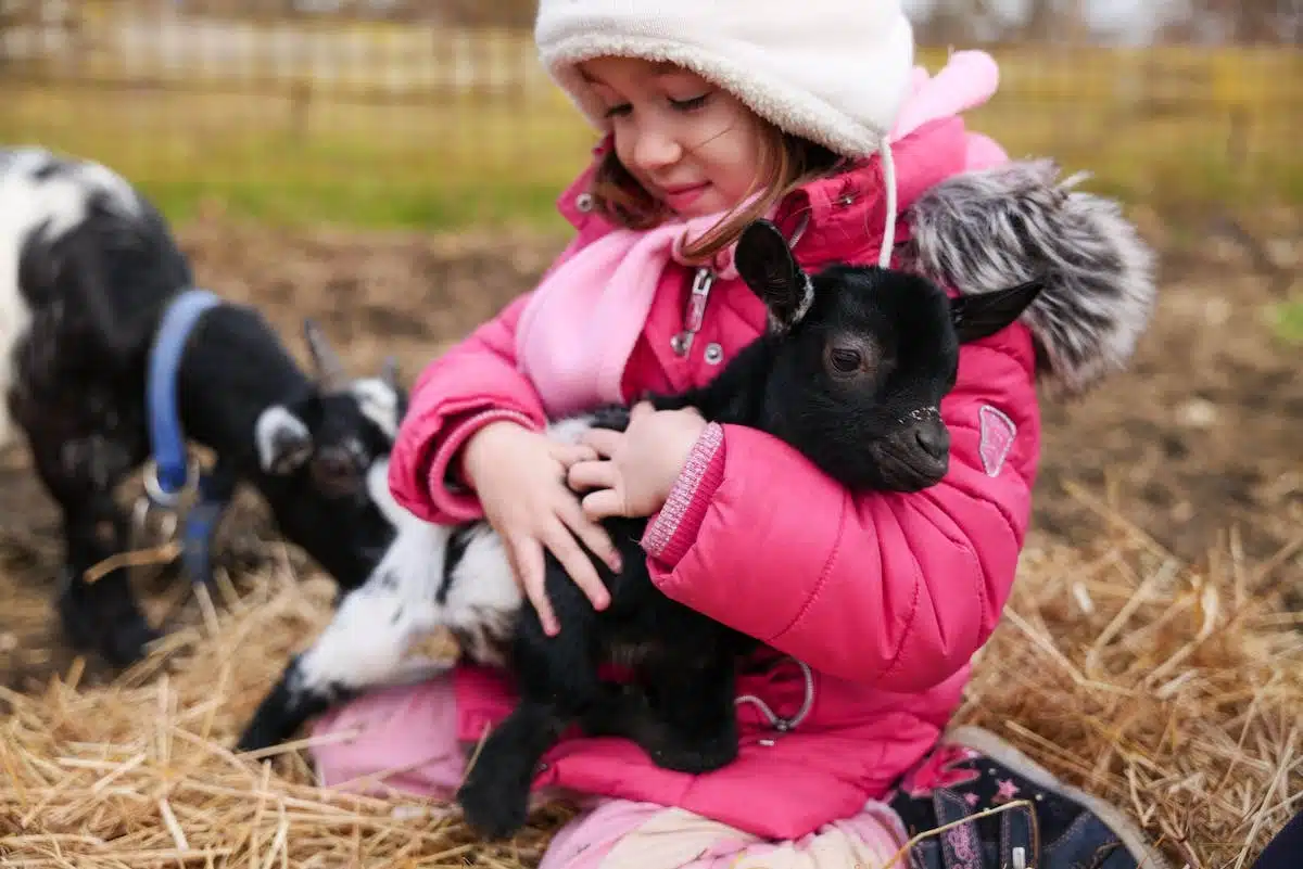 enfants animaux