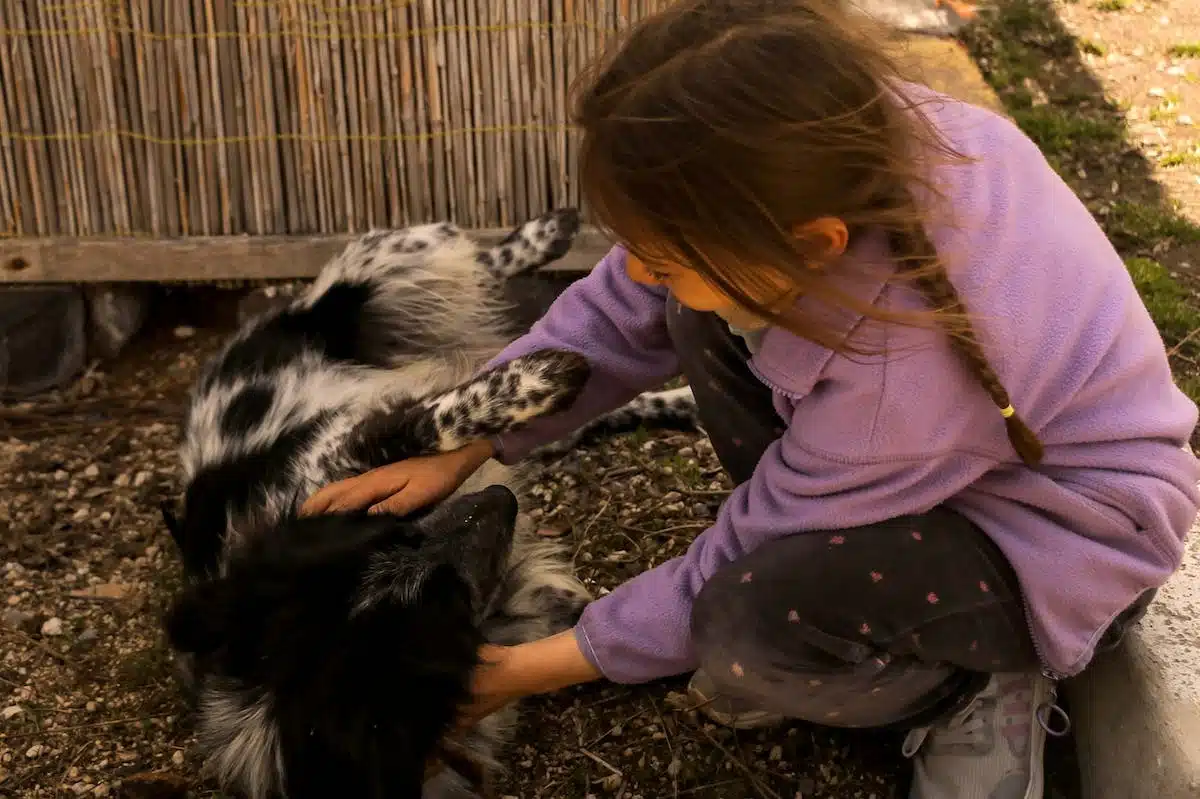 enfant  animal