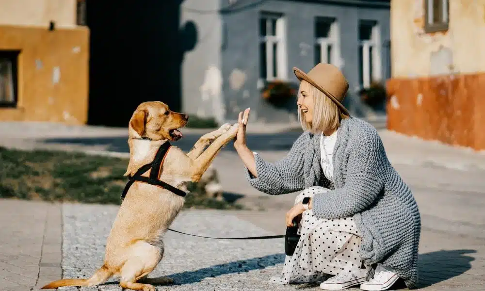 Comment assurer une bonne alimentation à son chien ?