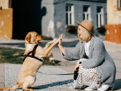 Comment assurer une bonne alimentation à son chien ?