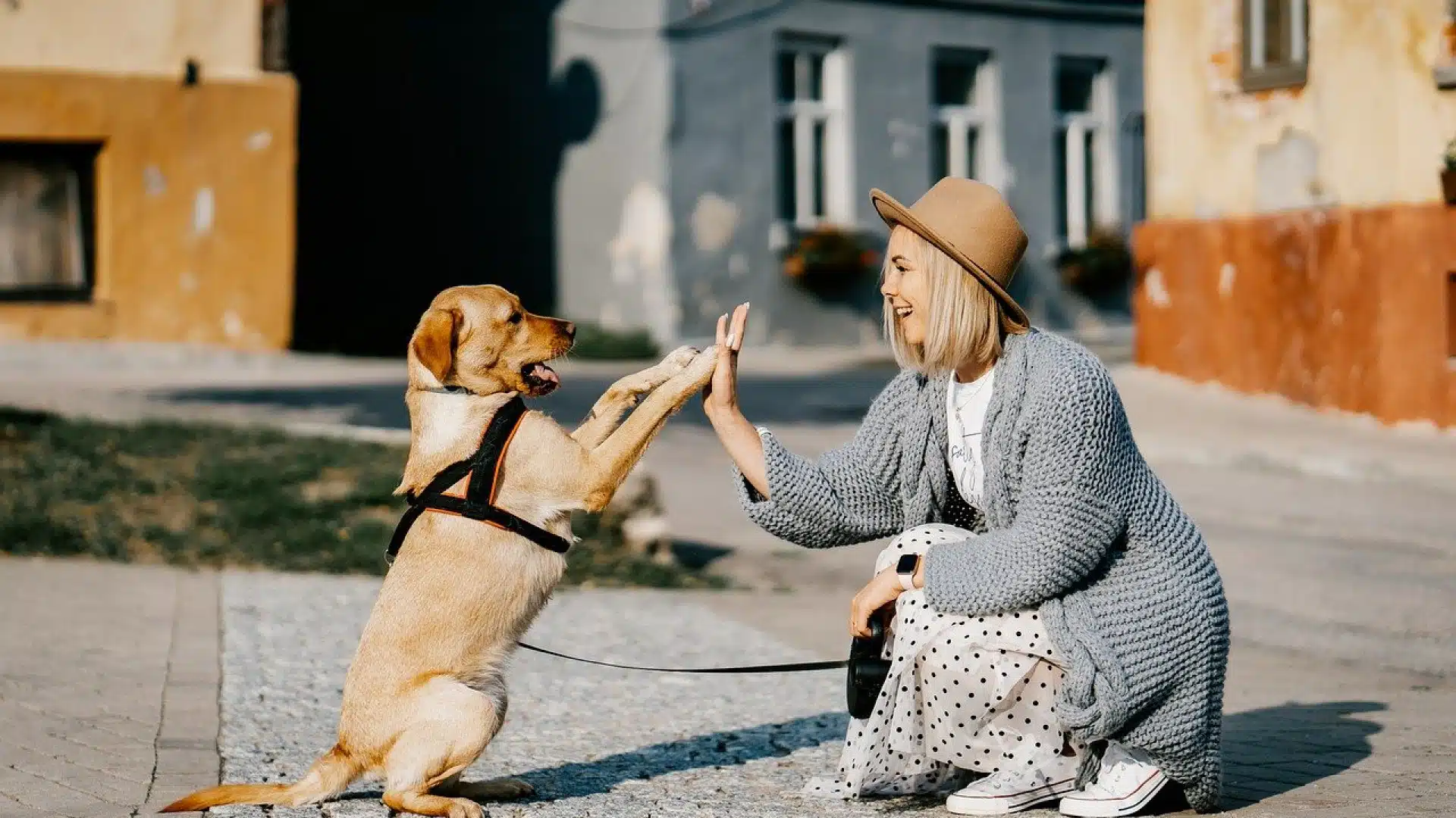 Comment assurer une bonne alimentation à son chien ?